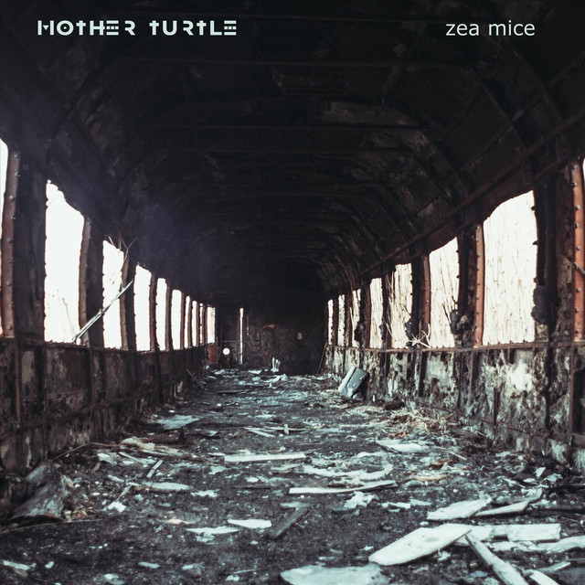 Mother Turtle Photo