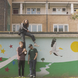 The New Tusk Photo