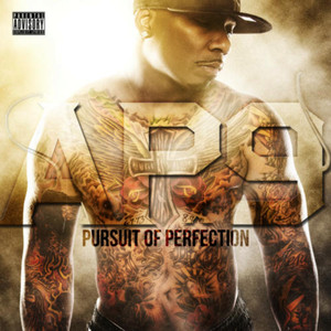Pursuit of Perfection cover
