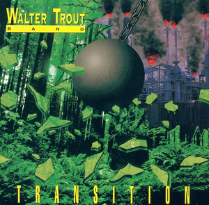 Transition cover