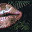 Kisses From Space Albumcover