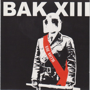 Vae Victis cover