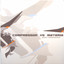 Dual Resonance Albumcover