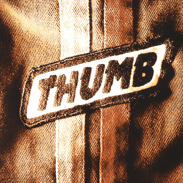 Thumb cover
