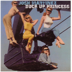 Buck Up Princess cover