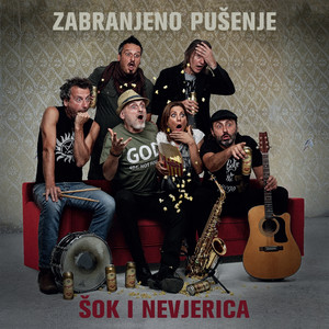 Šok i nevjerica cover
