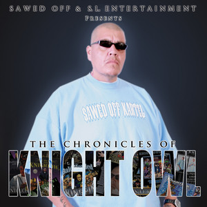 The Chronicles of Knight Owl cover