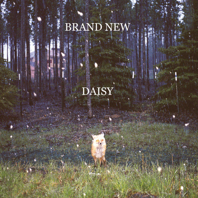 Daisy cover