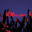 Blacklight cover