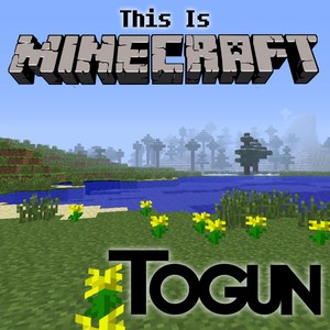 Togun