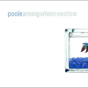 Among Whom We Shine cover