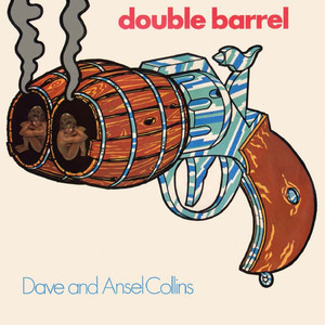 Double Barrel cover