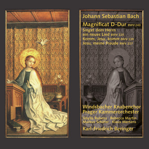 Bach: Magnificat & Motets album