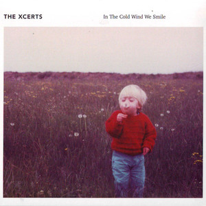 In the Cold Wind We Smile cover