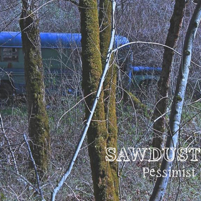Sawdust Photo