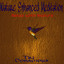 Nature Enhanced Meditation Albumcover