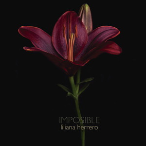 Imposible album