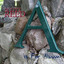 A Is For Album Albumcover