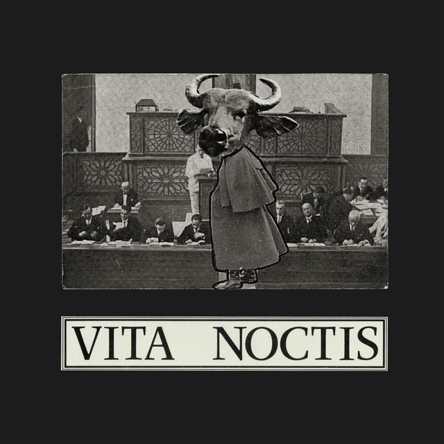 Vita Noctis Photo