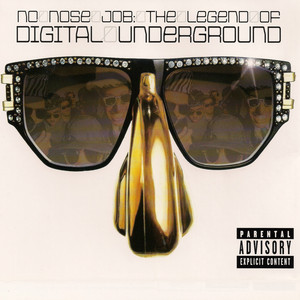 No Nose Job: The Legend of Digital Underground album