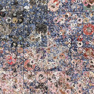 Seismology cover