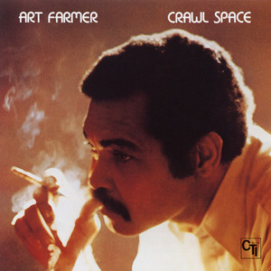 Crawl Space cover
