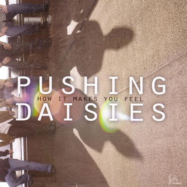 Pushing Daisies Photo