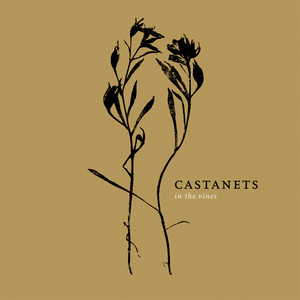 In the Vines cover