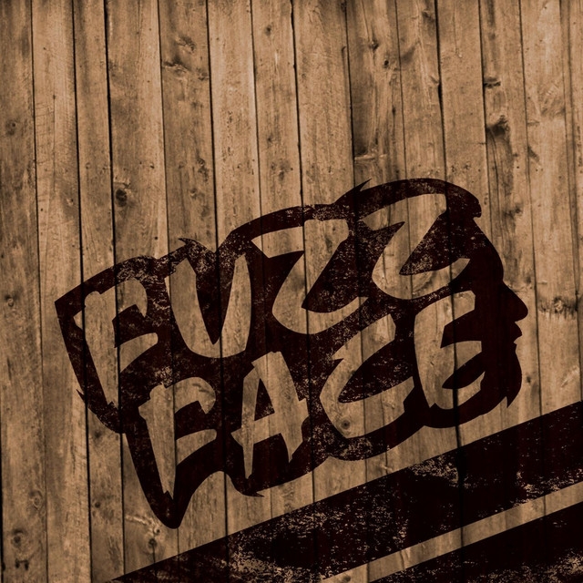 Fuzz Face Photo
