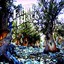 G Street Panorama Albumcover