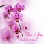 Zen Spa Meditation Music - Oriental Flute Music for Relaxation and Calming Soothing Sounds Instrumentals Albumcover