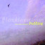 If I Could Meet Again (New Nature Of Sounds) Albumcover