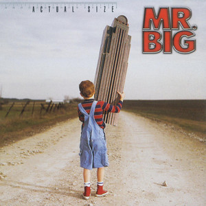 Actual Size album