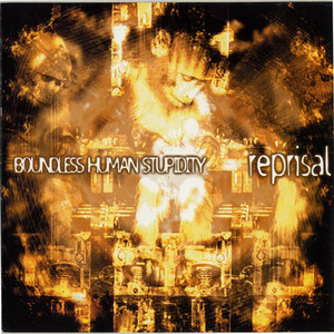 Boundless Human Stupidity cover