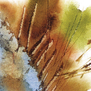 III cover