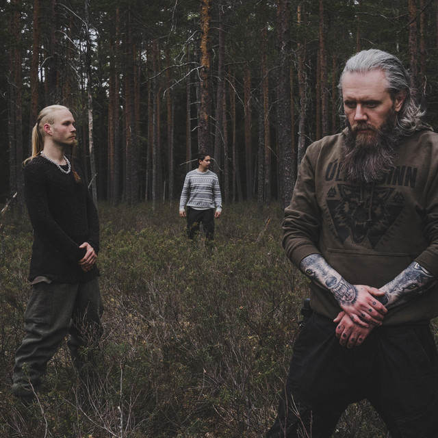 Ofdrykkja photo