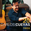 20 Éxitos: Tríos Albumcover