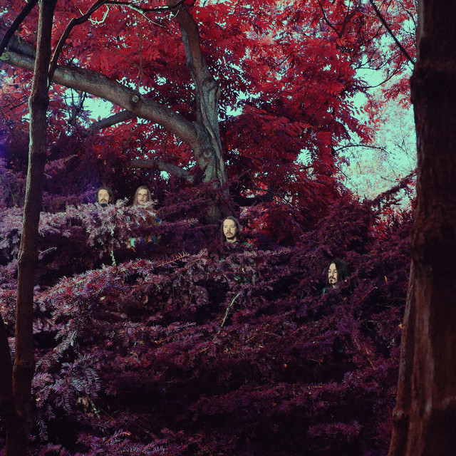 Kairon; IRSE! photo