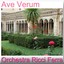 Ave Verum Albumcover