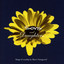 Sons and Daughters Albumcover
