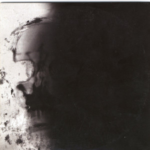 The Pulse of Decay cover
