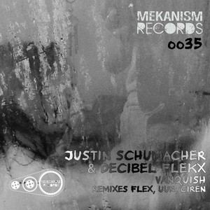 Decibel Flekx