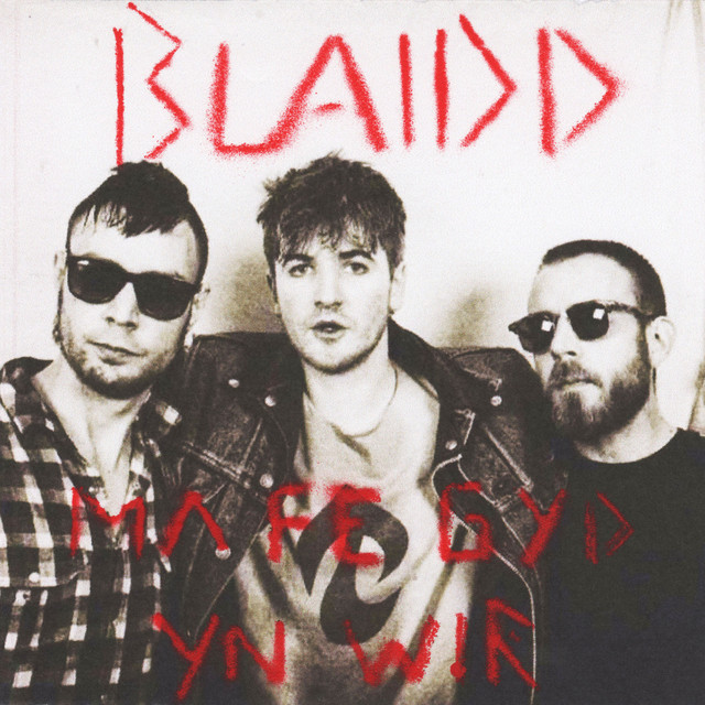 Blaidd Photo