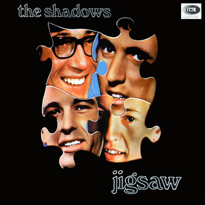 Jigsaw cover