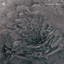 Rhizome Albumcover