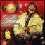 Ann Nesby cover