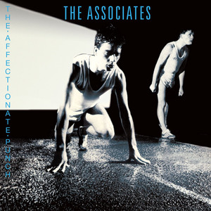 The Affectionate Punch cover