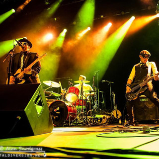 Johnny Madcap and The Distractions Photo