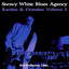 Rarities & Outtakes, Vol. 3 Albumcover