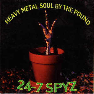 Heavy Metal Soul by the Pound cover